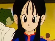 Chi-Chi smiling at Goku.