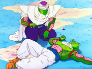 Piccolo and Nail