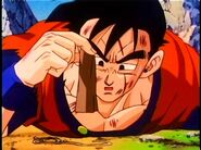 Future Gohan learns that he has one Senzu Bean left.