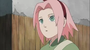Sakura sees flowers in Sasuke's bag.