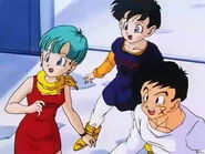 Videl with Bulma and Yamcha to follow Piccolo and Super Buu