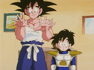 Goku talking to Chi-Chi about Training