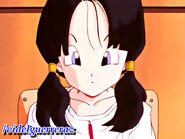 Videl recognized Gohan as a 11-year-old boy from the Cell Games who beat Perfect Cell