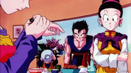 Gohan, Goten, Chi Chi and Videl