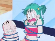 Bulma tied up