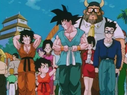 Son Family | Japanese Anime Wiki | Fandom