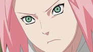 Sakura vows to stop Sasuke once and for all for Naruto's sake.
