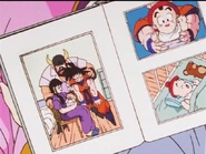 A Photo of Chi-Chi with her family on the day that Gohan is born.