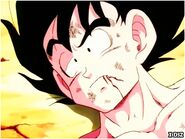 Goku feel exhausted and and sad about his friends