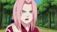 Sakura is shock that Naruto stabbed his right hand to get the poison out.