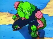 Piccolo Watching