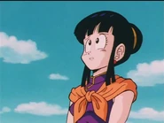 Chi-Chi hopes Gohan is ok