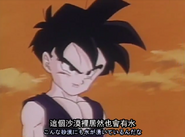 Teen gohan d3