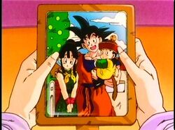 Son family, Dragon Ball Wiki