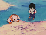 Dbz72-07