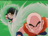 Dbz72-06