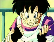 Videl is healed