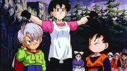 Videl put Trunks and Goten together about Broly