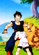 Videl yelled at Gohan to teach her to flying