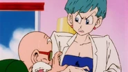 Bulma about to get touch again
