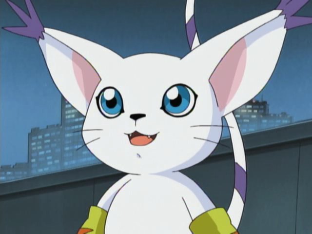 Tailmon  Digimon, Gatomon, Digimon adventure