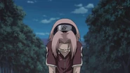 Sakura tells Sasuke that she help him with his revenge, if he stays in Konoha with her.