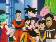 Chi-Chi cries since Goku is no longer dead