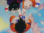 Dbz73-05