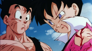 Videl with Gohan at the end after defeating Broly