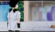 Videl watch them to escape