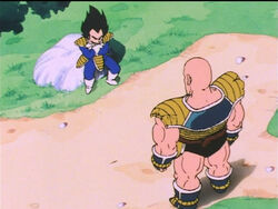 Vegeta Japanese Anime Wiki Fandom Vegeta Japanese Anime Wiki Fandom