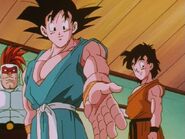 DragonballZ-Episode290 294