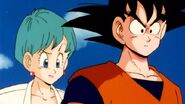 Bulma wonders if Goku and Raditz have a connection