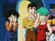 Videl not looking at Goku and Gotenks