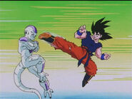 Dbz89-15