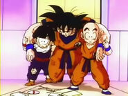 Dbz060 20120224-14132208