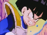 Gohan mad tre