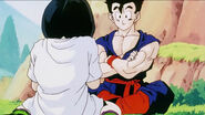 Gohan about to show ki to Videl