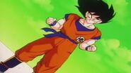 Dbz070-(033988)17-33-21-