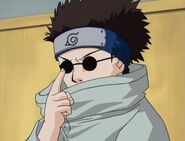 Shino finds out that he is the same team as Hinata and Kiba.