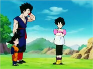 Videl thinks she understands Gohan's family