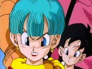 Bulma Molesta