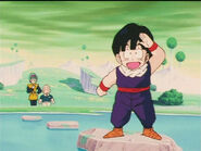 Dbz43-06