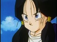 Videl indentation about the Great Saiyaman