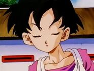 Videl is just confused about everything to Gohan