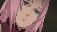Sakura decides to stop Sasuke at cost.