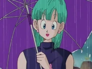 Bulma as an adult