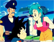 Bulma and Goku