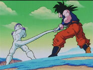 Dbz89-20