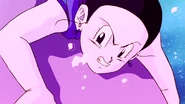 Chi-Chi on the ground